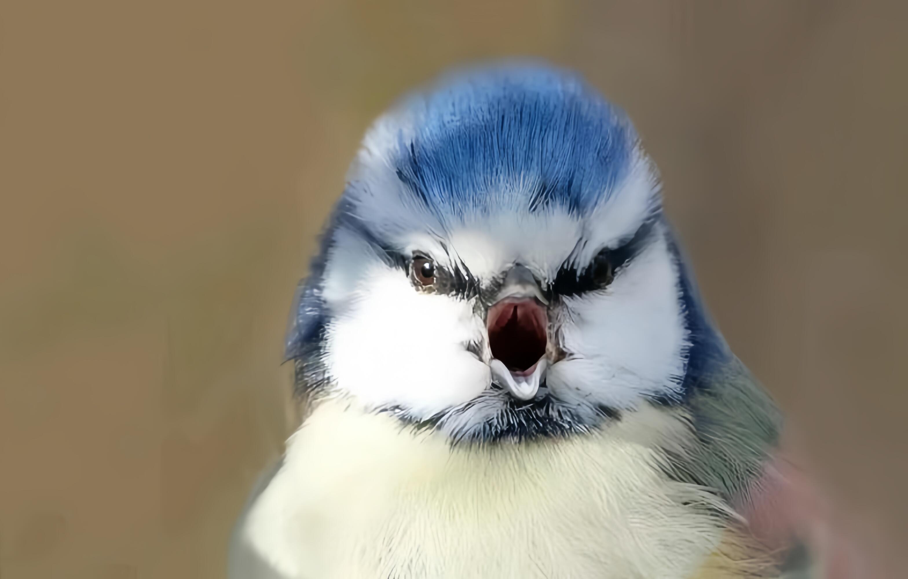 KepptnKool