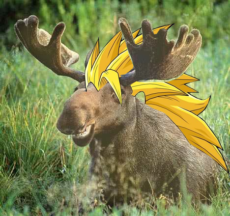SuperMoose
