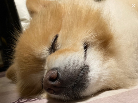 karono