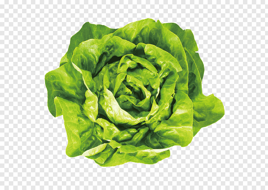 lettucemode