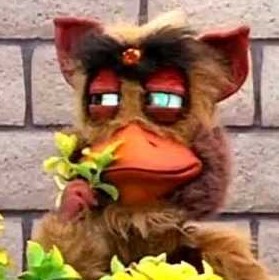 TheDuckSpy