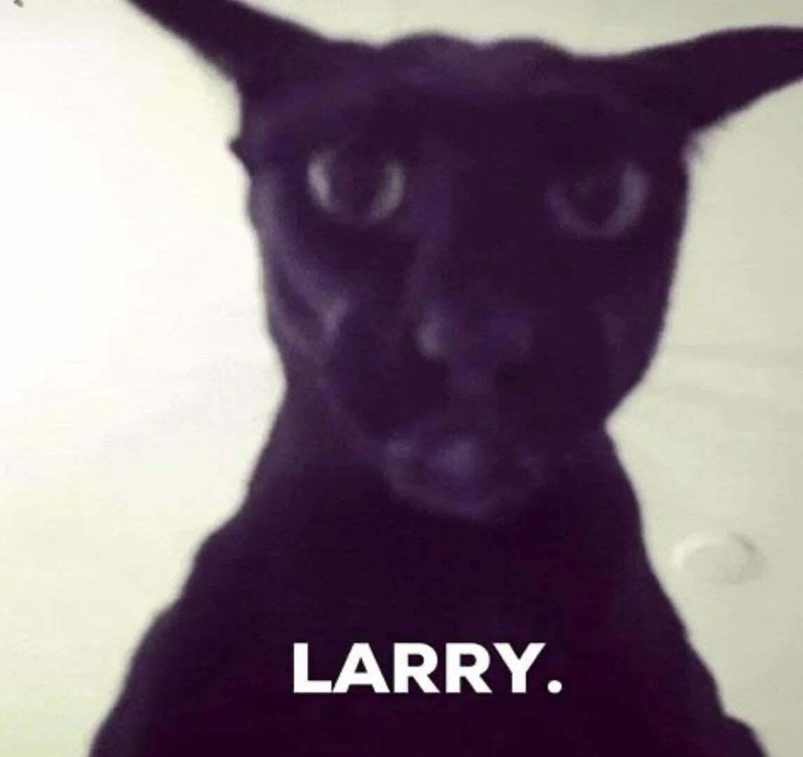 Larry the Evil Cat profile