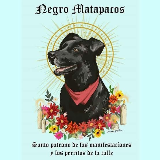 PapaPoncho