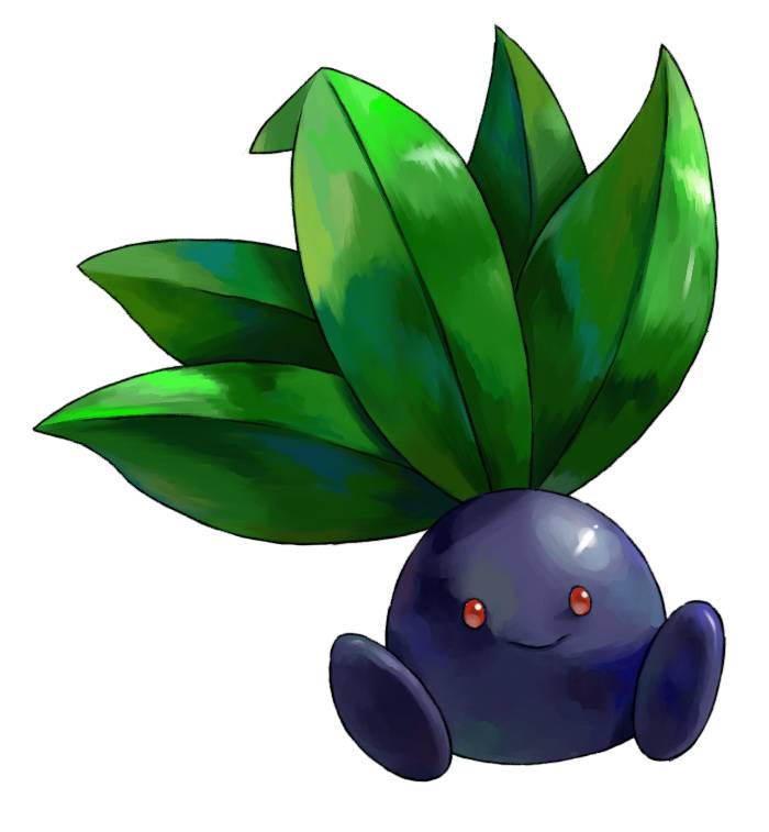 MrBop