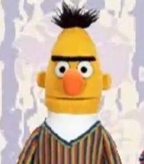 Bert