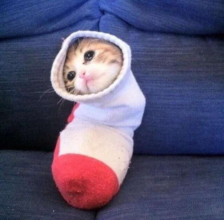 Alexiad