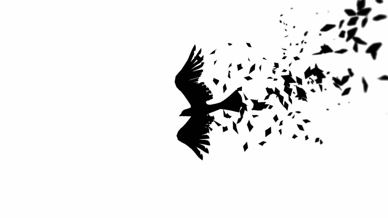 KO_Dojo_Crow