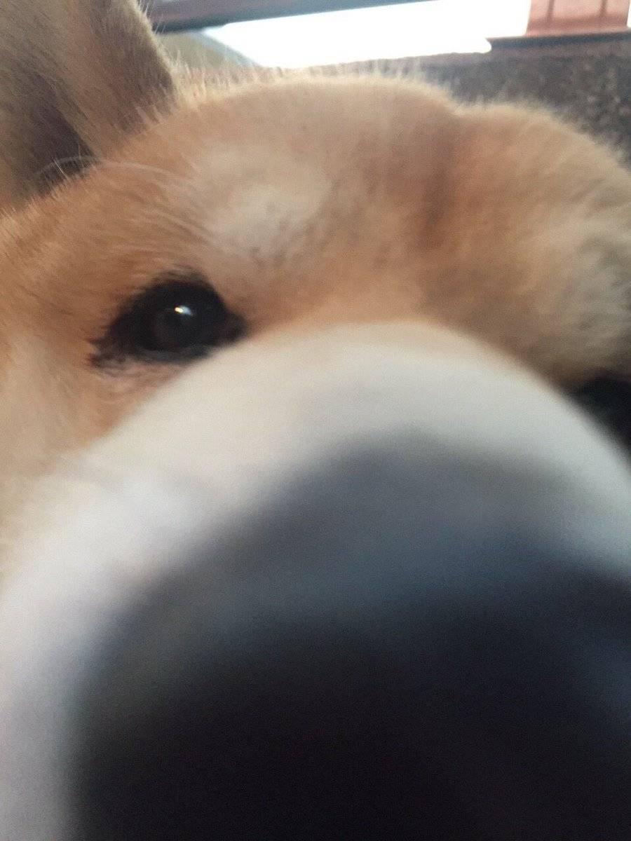 syrus