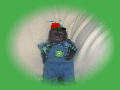 gummyjon