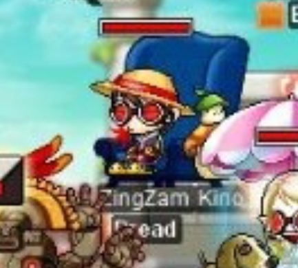ZingZam