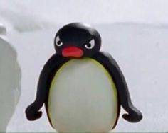 Pingu