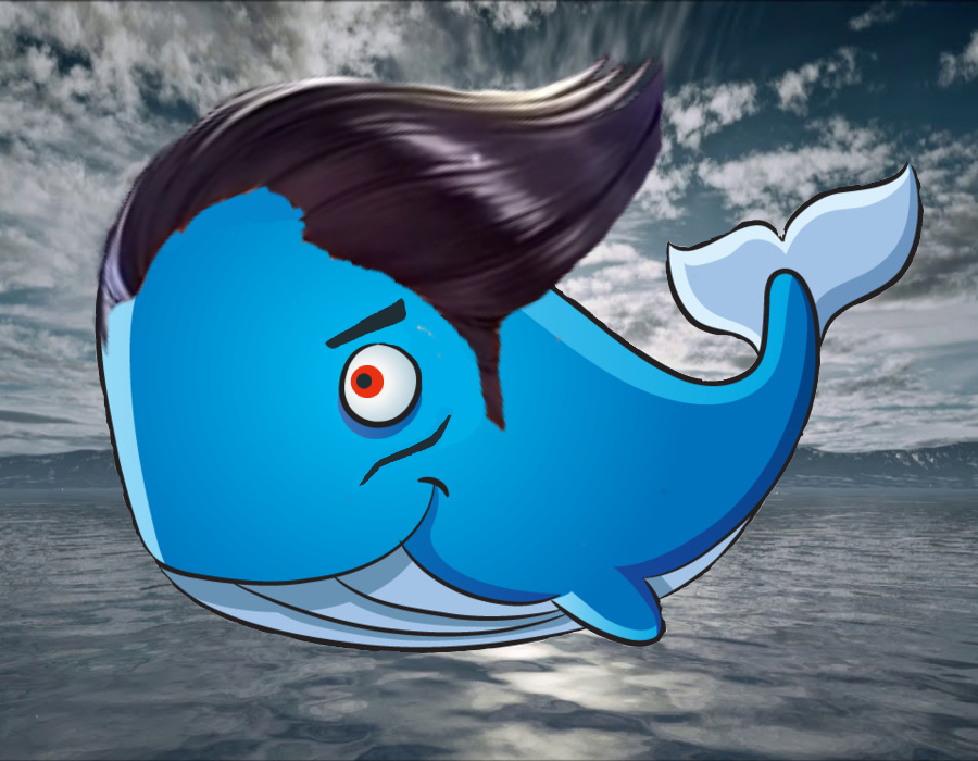 LaBallenaSensual
