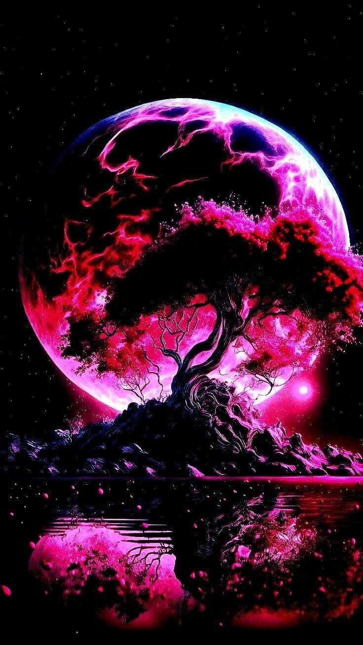 Moonlight