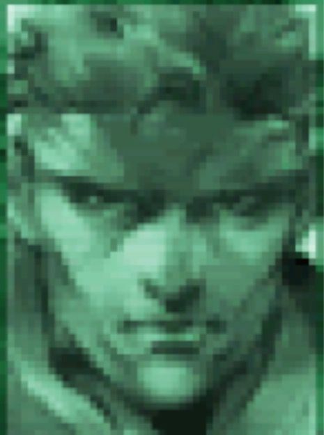 L2K Snake
