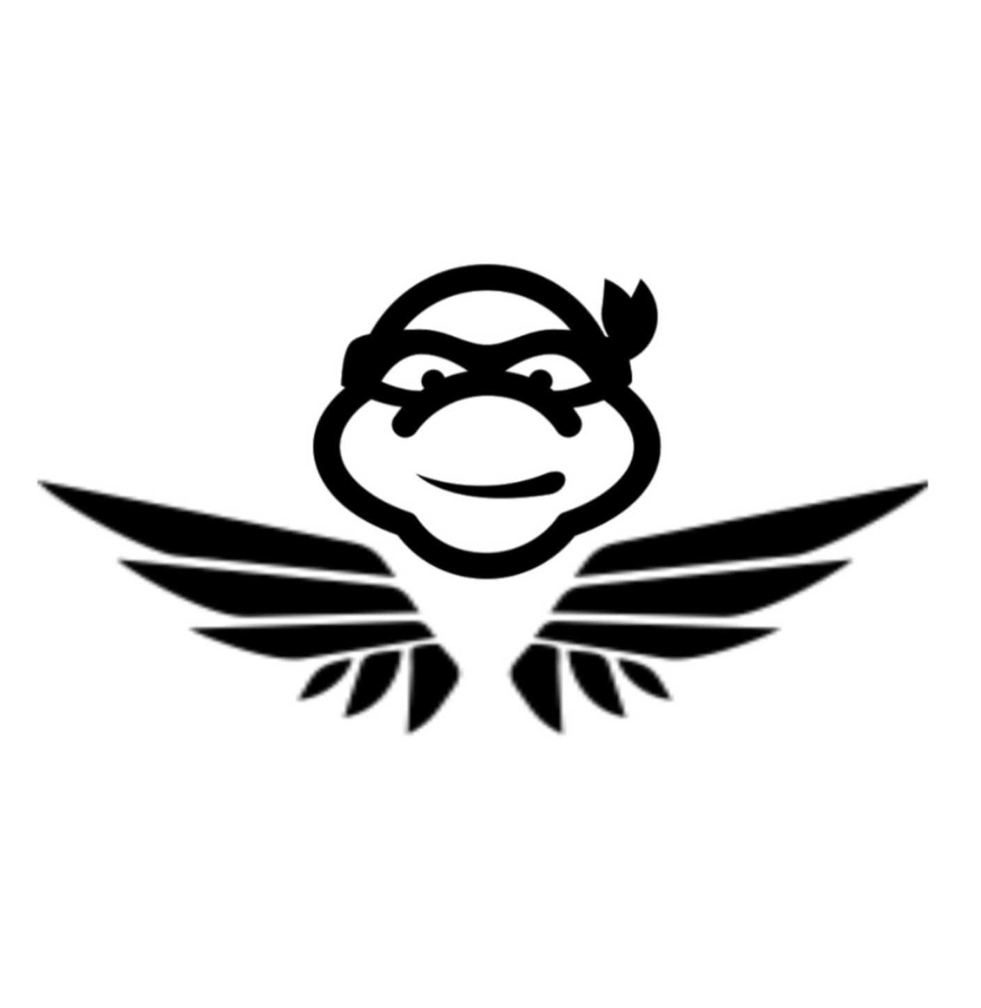 Flying Turtle