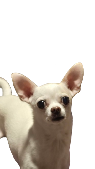FluffyVato