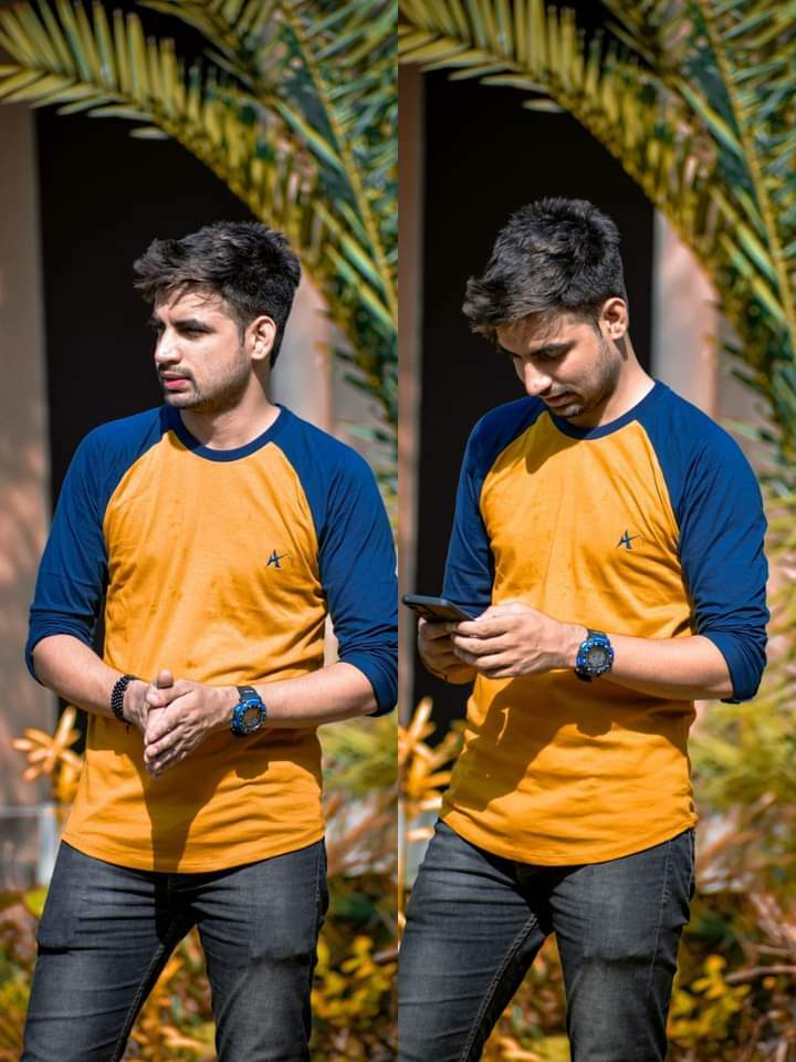 Malik ash