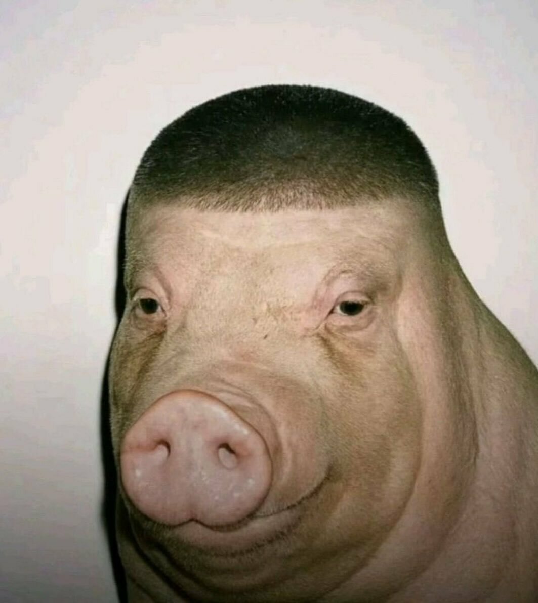 Kiri