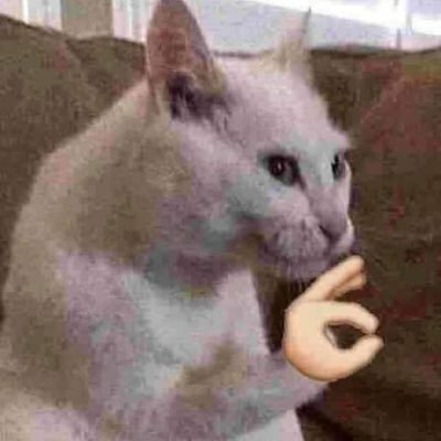 Get JJROCKETS to Genesis (Wii U)